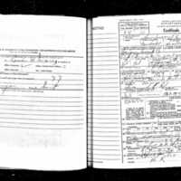 Hostos Death Certificate.jpg